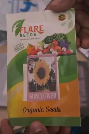 20 Pcs Sunflower Organic Seeds Pack of 1